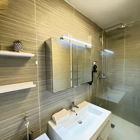 F3 Centre- Lafayette Avec Garage